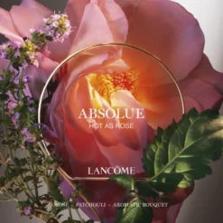 Absolue Les Parfums HOT AS ROSE Eau de Parfum
