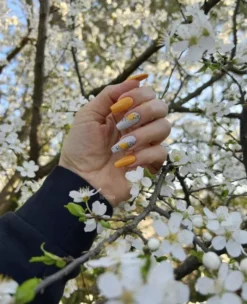 Among The Marigolds CND VINYLUX