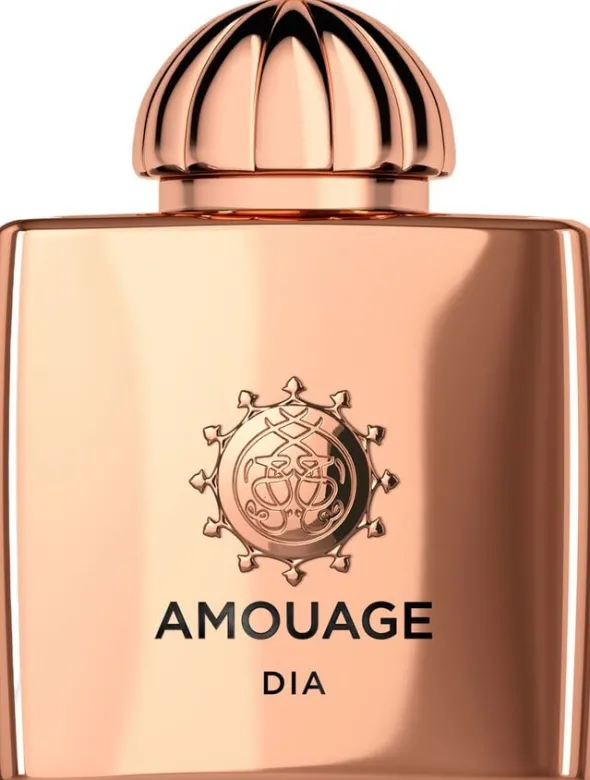 AMOUAGE DIA WOMAN EDP 100 ML