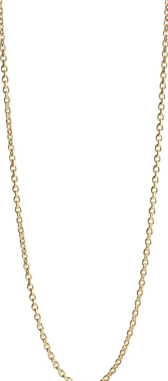 Anchor Chain, gold plated sterling silver - 50 CM