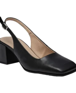 ANILA 01