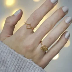 Bese Saka ring VERMEIL (925 Sterling silver gold plated 2. 5 micron)