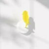Birdie