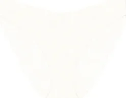 Body Make-Up Illusion Lace Highleg Tai