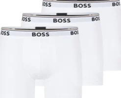 BoxerBr 3P Power