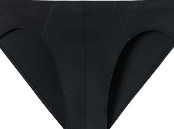 Brief