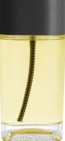 34 bvd St Germain Eau de Toilette 100 ml