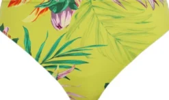 CALA MACARELLA MID RISE BIKINI BRIE