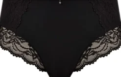 CESILE FULL BRIEF