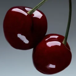 Cherry Stem - Eau de Parfum i reseformat