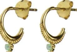 Daria earrings