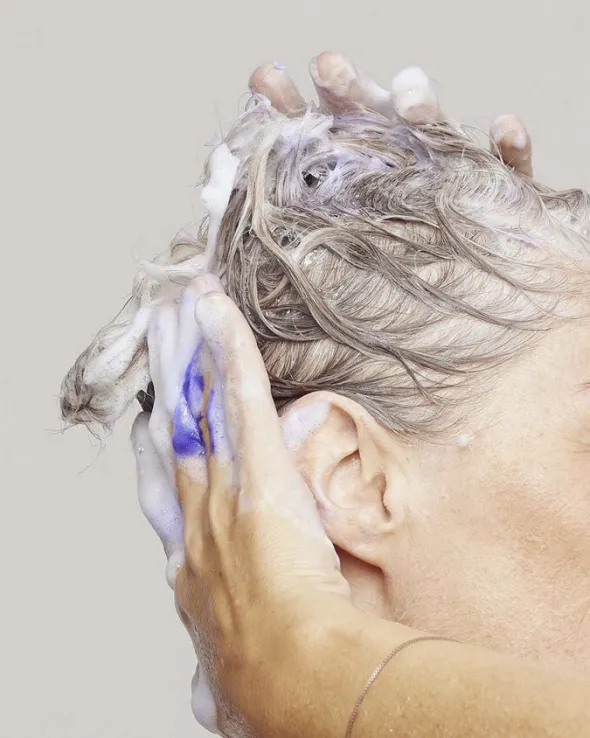 Enriched Blonde Silver Shampoo