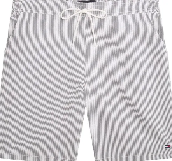 Essential Ithaca Stripe Long Length Swim Shorts