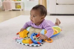 Fisher-Price Balanced Beg