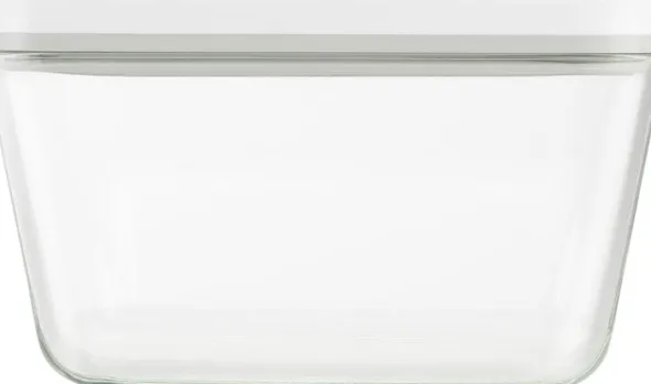 Fresh & Save Vakuum box L Graa Glas