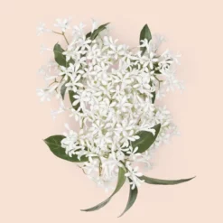 Gucci Bloom Intense