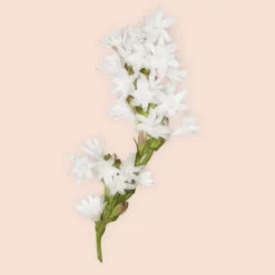 Gucci Bloom Intense