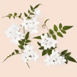 Gucci Bloom Intense