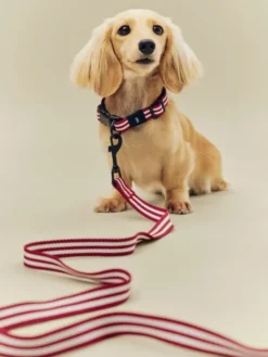HAY Dogs Leash-Flat M/L-Red and whi
