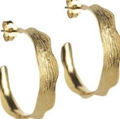 Hoops, Ane Large