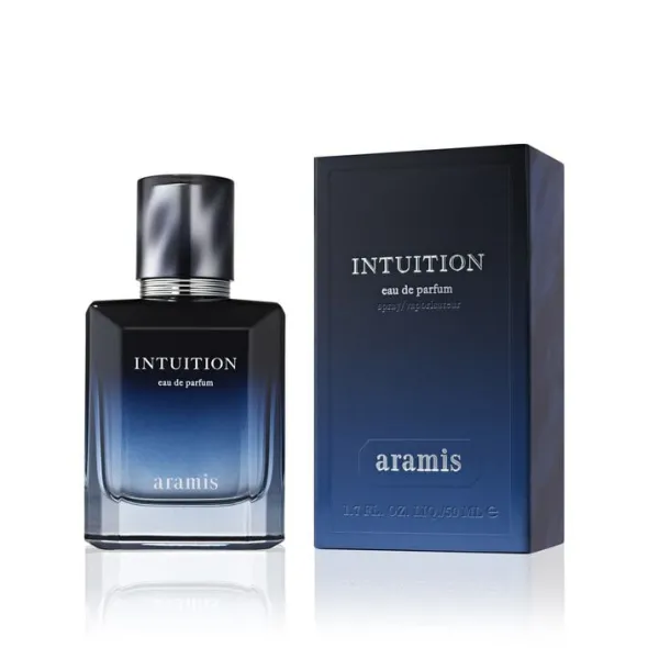 Intuition
