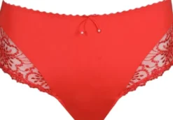 Jane full briefs