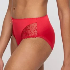 Jane full briefs