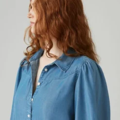 Journey Western Shirt