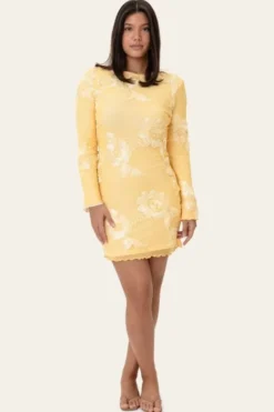 MalouIC Mesh Dress
