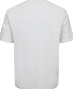 MENS REG FIT T SHIRT LOLLIES