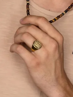 Men's Stainless Steel Lion Crest Ring with Gold Plating