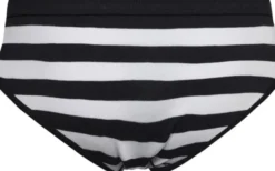 MN x JBS of DK briefs w/fly