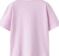 NKFDITTELIA SS NREG TOP BOX
