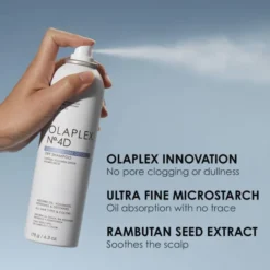 No. 4D Clean volume Detox Dry Shampoo