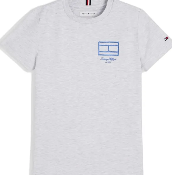 OUTLINE FLAG GRAPHIC T-SHIRT SS