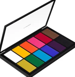 Painstick X 12 Palette