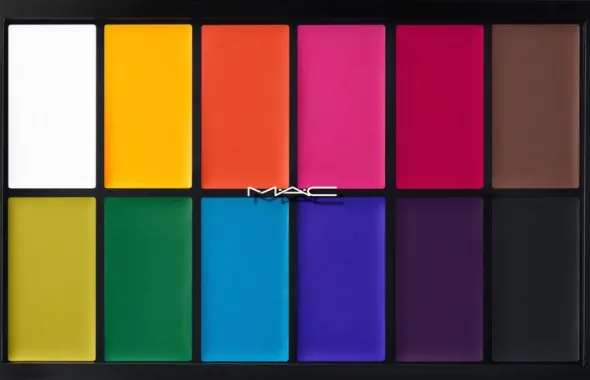 Painstick X 12 Palette