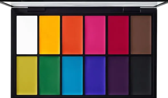 Painstick X 12 Palette