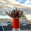 Pantone PENCIL CUP Orange 021