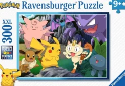 Pokemon 300p