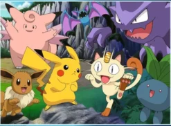 Pokemon 300p