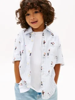 Print Ithaca Stripe Short Sleeve Oxford Shirt