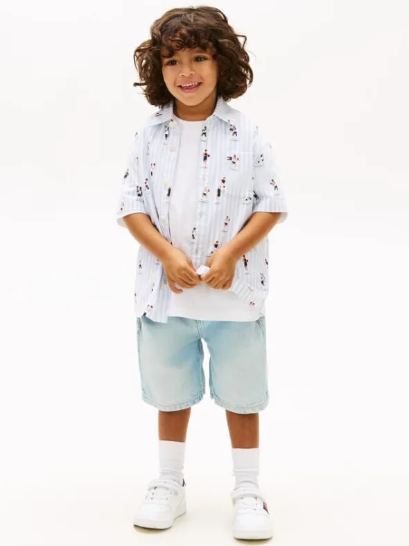Print Ithaca Stripe Short Sleeve Oxford Shirt