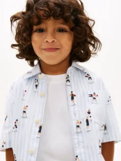 Print Ithaca Stripe Short Sleeve Oxford Shirt