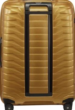 Proxis