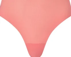 Pulpies Brief