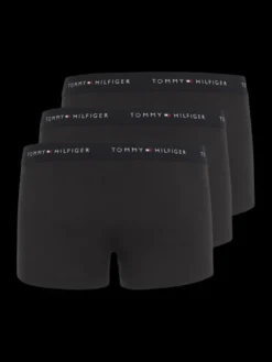 3P WB TRUNK