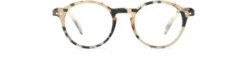 READING #D Light Tortoise