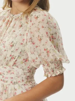 Sable Meadow Printed Dress