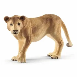Sch Lioness